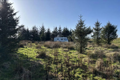 2.8 acres of Woodland for sale in Dumfries and Galloway