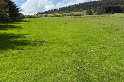 13.8 acres of Farmland for sale in Mynachlog-Ddu
