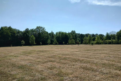 3 acres of Amenity Land for sale in Bunwell