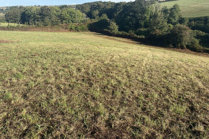 1.6 acres of Cheap Land for sale in Redruth
