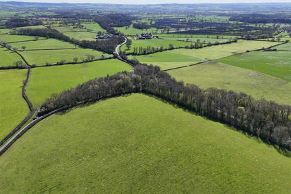 1.3 acres of Woodland for sale in Lillington