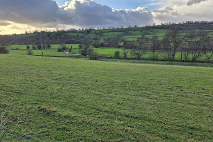 20 acres of Agricultural Land for sale in Snelston