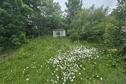Development Land for sale in Berwickshire, Roxburgh and Selkirk