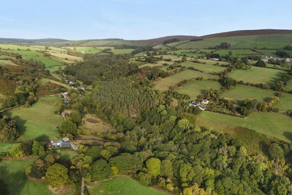 19.5 acres of Woodland for sale in Llansantffraid Glyn Ceiriog