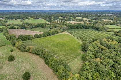 49.7 acres of Vineyard for sale in Benenden