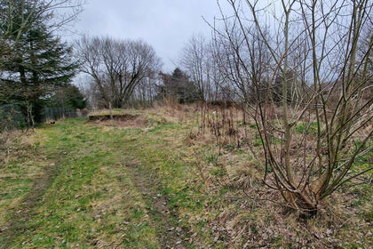 Land for sale in Gordon and Buchan