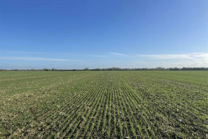 50.2 acres of Agricultural Land for sale in Thetford