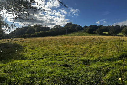 31.9 acres of Agricultural Land for sale in Llanfyllin