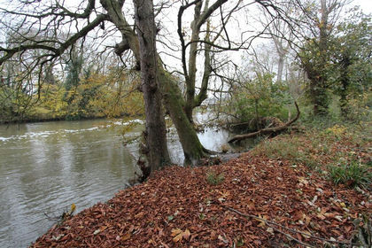 2 acres of Undeveloped Land for sale in Runnymede and Weybridge