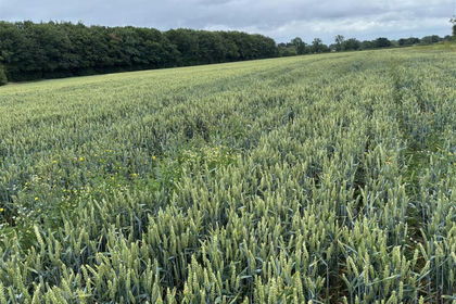 25.4 acres of Agricultural Land for sale in High Legh