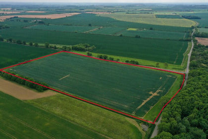 35.3 acres of Agricultural Land for sale in Lutton