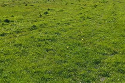 3.4 acres of Agricultural Land for sale in Allensmore