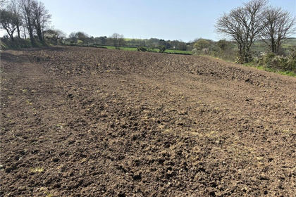 2 acres of Agricultural Land for sale in St. Keverne