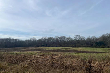 4.8 acres of Agricultural Land for sale in Flixton (Bungay & Wainford Ward)