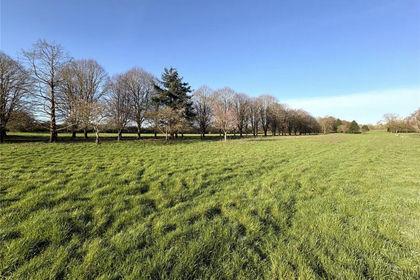 14.5 acres of Grazing Land for sale in Tintinhull