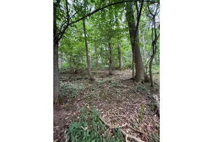3.6 acres of Woodland for sale in Hutton Rudby