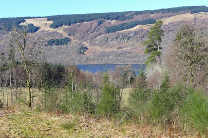 Development Land for sale in Argyll, Bute and South Lochaber
