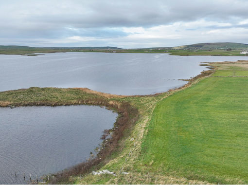 Small Plot of Land for auction in