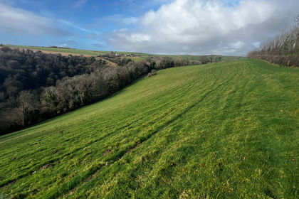 28.3 acres of Agricultural Land for sale in Totnes
