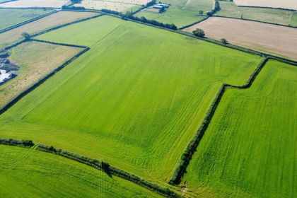 16.6 acres of Farmland for sale in Llanfair