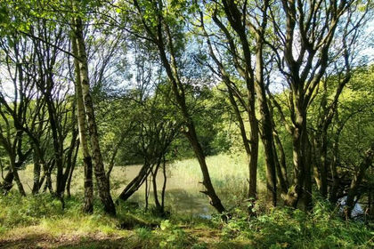 1.5 acres of Cheap Land for sale in Makerfield