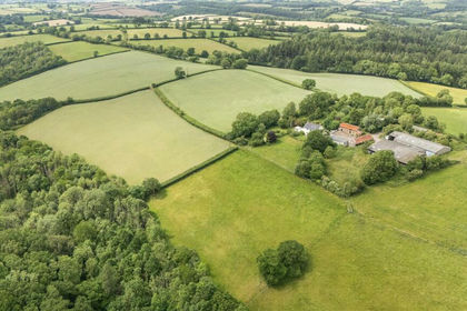 33 acres of Farm for sale in Sandford