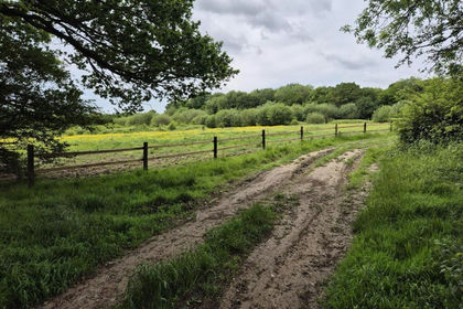 11.4 acres of Grazing Land for sale in Findern