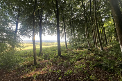 6.8 acres of Recreational Land for sale in Oswestry Rural