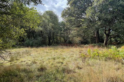 Undeveloped Land for sale in Finchampstead