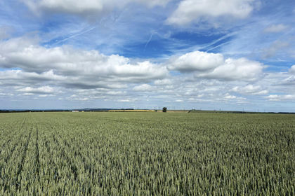64.9 acres of Arable Land for sale in Newbald