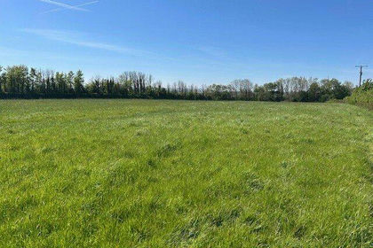 3.2 acres of Grazing Land for sale in Stogursey