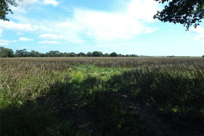 40 acres of Development Land for sale in Harwich