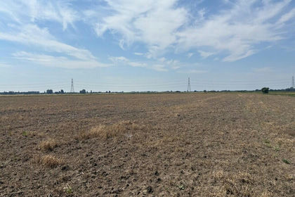 66.9 acres of Farmland for sale in Marshland St. James