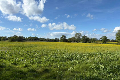 22.1 acres of Farmland for sale in Eccleshall