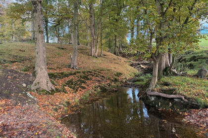 4 acres of Recreational Land for sale in Pott Shrigley