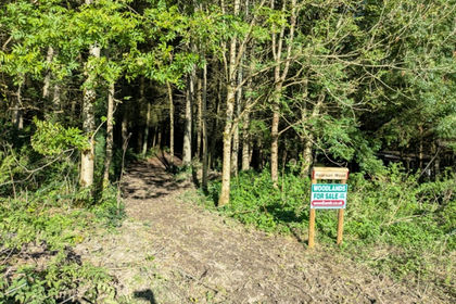 3 acres of Woodland for sale in
