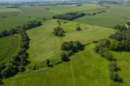 24.6 acres of Agricultural Land for sale in Healing