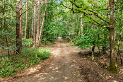 42 acres of Recreational Land for sale in Withyham