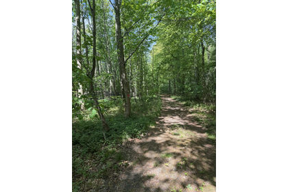 3 acres of Woodland for sale in