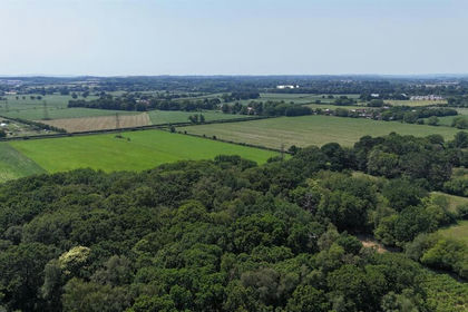 2.4 acres of Woodland for sale in Ferndown Town