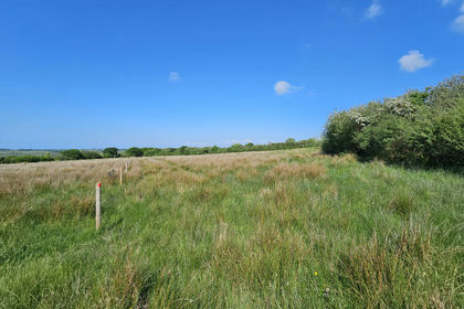 4 acres of Farmland for sale in
