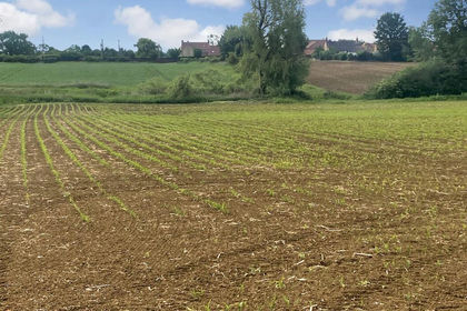 68.1 acres of Agricultural Land for sale in Bishop Norton