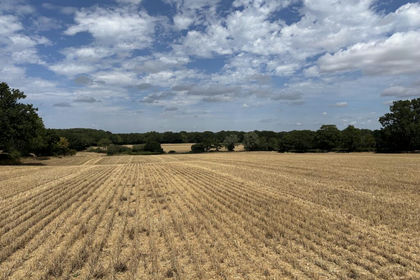 70.1 acres of For sale in Biddenden