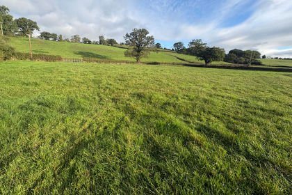 5.6 acres of Farmland for sale in Llandeilo