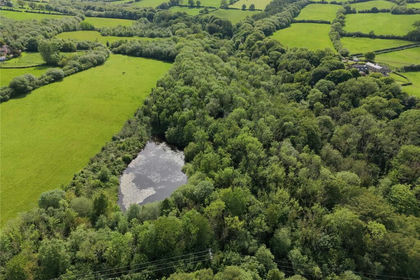 13.4 acres of Woodland for sale in Brymbo