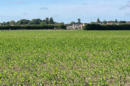 Farm for sale in Sibsey