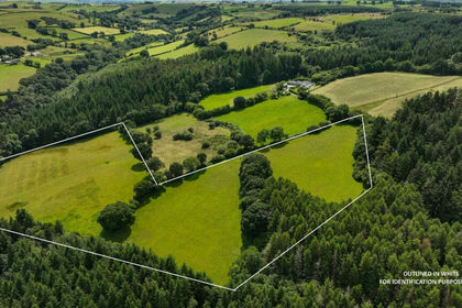 13 acres of Agricultural Land for sale in Llanilar