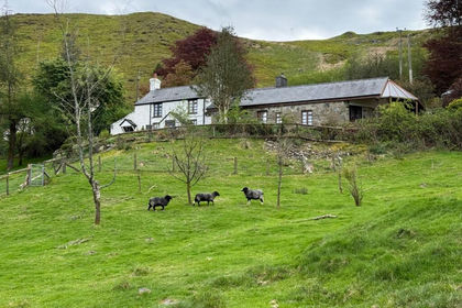 10 acres of Smallholding for sale in Blaenrheidol