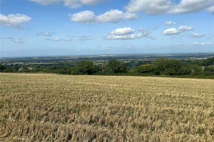 33 acres of Agricultural Land for sale in Chard