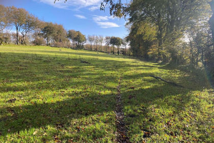 Farmland for sale in Llanddewi Brefi